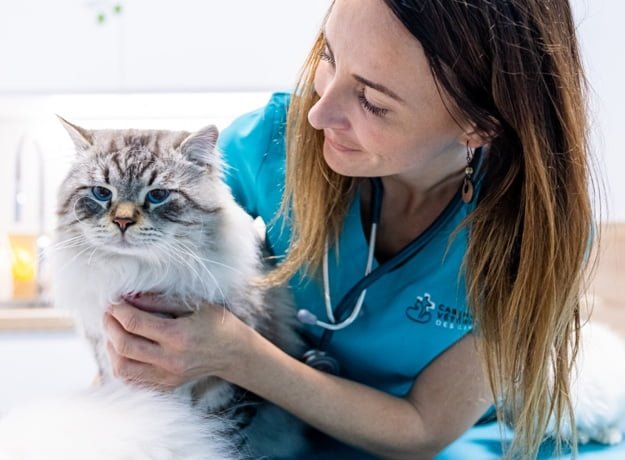 Cabinet Veterinaire Des Lisieres Medecine Preventive